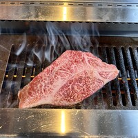 PONGA PREMIUM - 