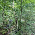 森のそば屋 清エ門 - 