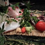 赤鶏炭焼 大安 - 