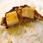 みすたーらいおん - 