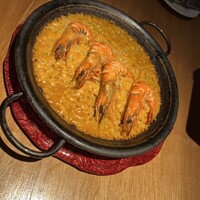 Potoro - 