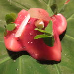 Fujiya 1935 - 羽曳野のイチジクとルバーブのソース2