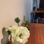 ターブルハラダ - 