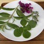 レストランぶどうの森 レ・トネル - 