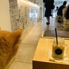 STREAMER COFFEE COMPANY AKASAKA