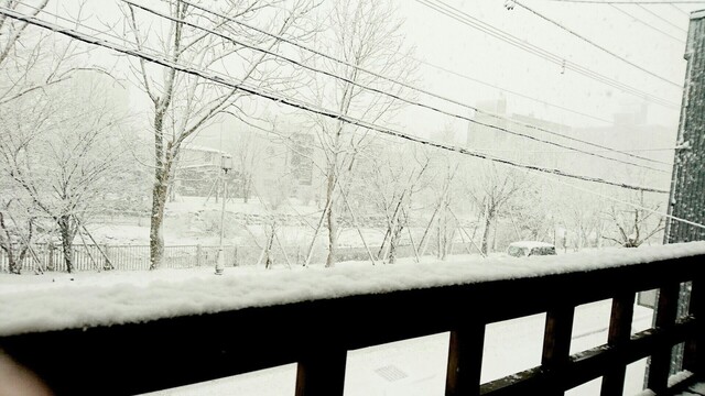 せん年萬年 - 東室蘭（日本料理）の写真