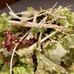 杏樹亭 岸根店 - 「チョレギサラダ」のアップ…