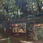 Komorebi - 店名通り木漏れ日が降り注ぐ