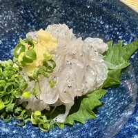 鮨と豆腐料理　あい田 本店 - 生シラス♡Love