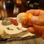 寿司 松岡 - 海老には隠し包丁が少々入ってた