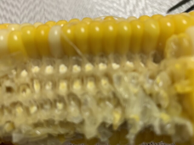 ヨークベニマル 平野店（yorkbenimaru） - 平野（コンビニ・スーパー）の写真