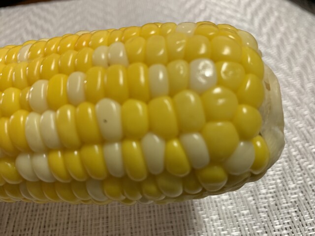 ヨークベニマル 平野店（yorkbenimaru） - 平野（コンビニ・スーパー）の写真