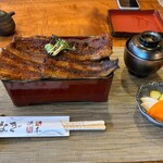 町田 うなぎ流木