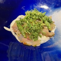 セルサルサーレ - 