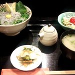 寿司　志真 - （茅ヶ崎直送）生しらす丼