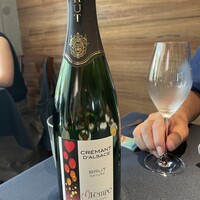 セルサルサーレ - 