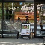 HARIO CAFE - 