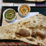 インド料理 RUCHI - カレー2種セット