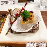 ジョンティ アッシュ - 