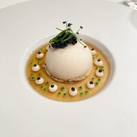 ジョンティ アッシュ - 