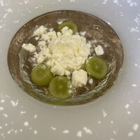 SCALAE - 