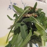 アロマフレスカ - 苦味のあるルッコラ