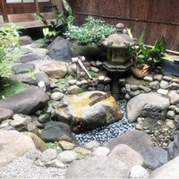 雪梅花 菜根譚 - 