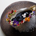 macua - メイン写真: