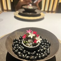 RiVi - 