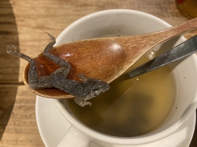 by petaporu : 爬虫類カフェ ロックスター - 難波/カフェ | 食べログ