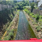 中華そば うお静 - お店近くの川１