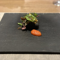 クッチーナ イタリアーナ アメリア - 