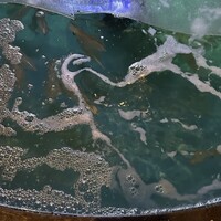 寅八商店 心斎橋店 - 