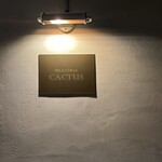 BRACERIA CACTUS - 