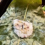 Ryosha Umanojou - 岩魚朴葉寿司