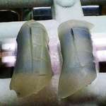 神田笹鮨 - 烏賊