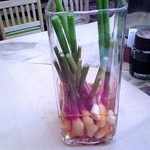 神田笹鮨 - 季節もののつばめ生姜