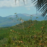 霧島峠茶屋 - デッキからの眺め。