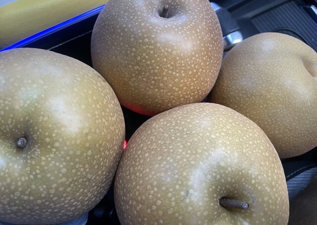 松田修一果樹園 - 群馬八幡/その他 | 食べログ