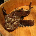 二代豊国 - 本日の食材１、おこぜ