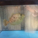 二代豊国 - 生簀の最後の1匹