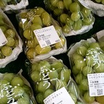 미치노에키 나카야마 우돗쿠라후토 센타