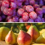 なっぱごちそう - 