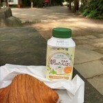 セテュヌ ボンニデー - 