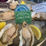 Oyster Bar wharf - 