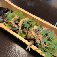 平等院表参道 竹林 - 