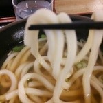 Hayashi - 麺はコシあり