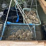 望洋館 - 牡蠣も絶品ですよ☆