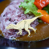 福井県立恐竜博物館 レストラン