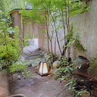 霜止出苗 - 